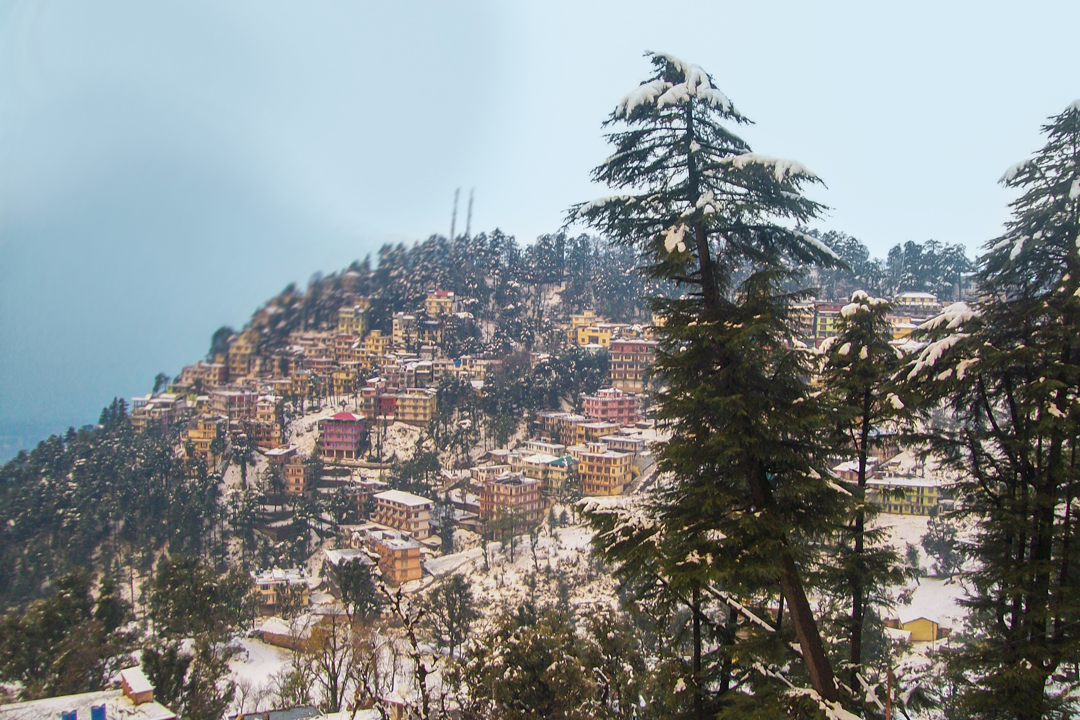 Day 2: Reaching Dharamshala